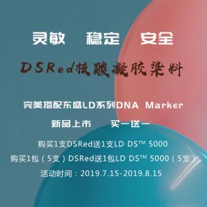 东盛上新丨DSRed无毒核酸凝胶染料/LD DNA Marker