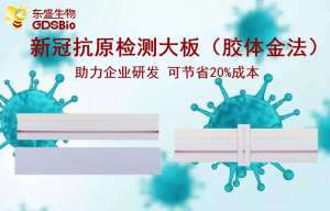 上新了!东盛推出新冠病毒抗原检测胶体金大板产品