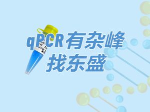 SYBR Green Blue qPCR Mix:qPCR有杂峰 找东盛
