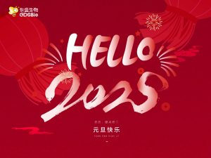 辞旧迎新,共启2025年新征程