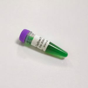 Super TaqGreen PCR Mix K033