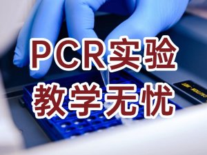 PCR开源教学试剂盒 - 开启分子太阳成学教学新体验
